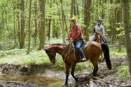 Buying a Lodge at Holiday Parks in North Wales