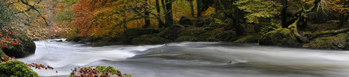 Dialectical Behavioural Therapy: FAQ